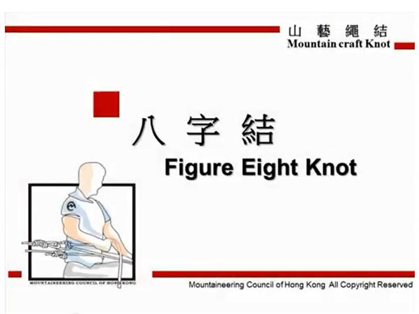 Figure Eight Knot 八字結 